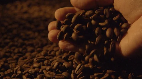 Hand picking up coffee beans Stock Footage 129868734