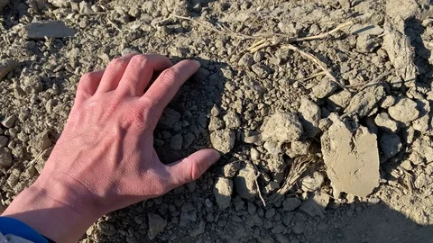 Hand Picking Up Dry Land Stock Footage 125484557