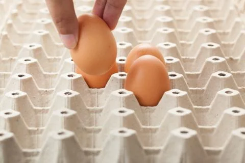 Hand picking an egg from egg tray. Foto stock