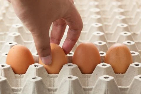 Hand picking egg from egg tray. Stock Photos