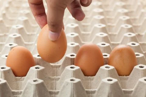 Hand picking egg from egg tray. Stock Photos