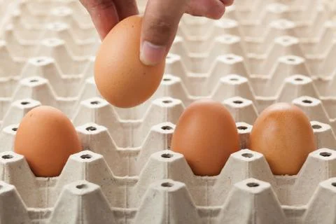 Hand picking egg from egg tray. Stock Photos