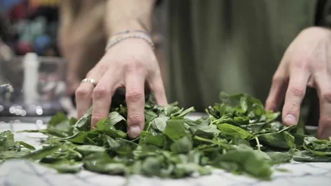 Hand picking fresh basil leaves in the kitchen Stock Footage 171462815
