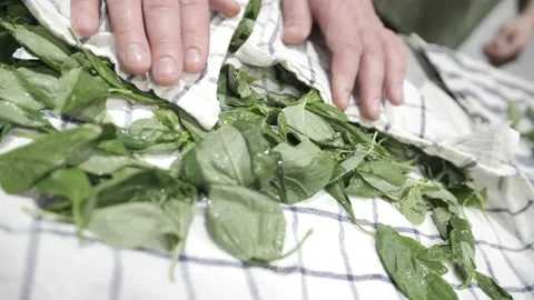 Hand picking fresh basil leaves in the kitchen Stock Footage 171462936