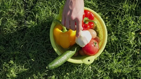 Hand picking fresh garlic from a colander of vegetables Stock Footage 337067055