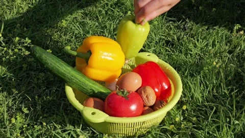 Hand picking a fresh green bell pepper from a basket Stock Footage 337066868