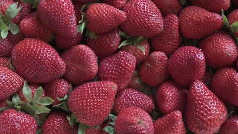 Hand Picking Fresh Ripe Strawberries Close-Up At Farmers Market Or Home Harvest Stock-Footage 340633038
