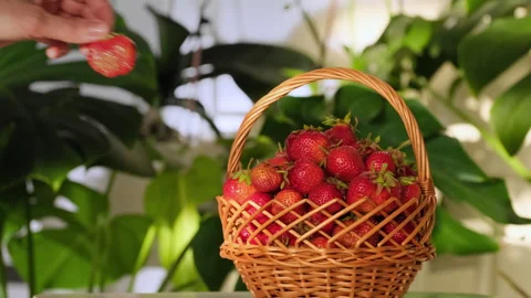 Hand Picking Fresh Strawberry From Wicker Basket 스톡 동영상 345086260