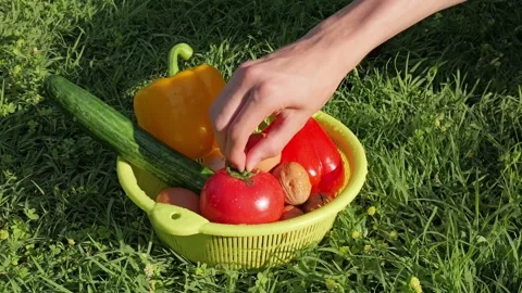 Hand picking fresh tomato from basket on green grass Video stock 337067070