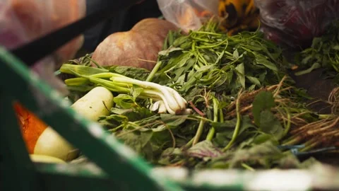 Hand Picking Fresh Vegetables Stock Footage 345551300