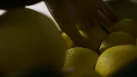 Hand picking fresh yellow lemons Stock Footage 71566034