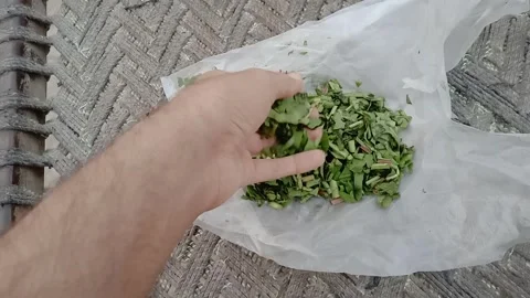 Hand Picking Up Freshly Chopped Spinach Pieces Vídeo Stock 346983380