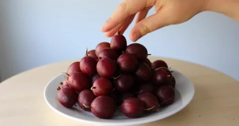 Hand picking gooseberry from stack Stock Footage 200780315