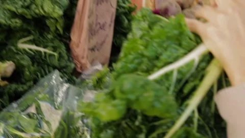 Hand Picking Leafy Greens at Outdoor Market Stall in Sydney, Australia Stock Footage 345703938