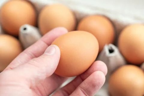 Hand picking up one fresh egg from paper tray, healthy eating concept Stock Photos