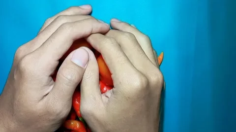 Hand picking up a pile of red bird's eye chilies and tomatoes on cyan background Stock-Footage 325613764