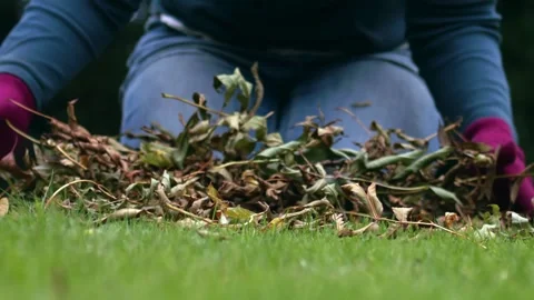 Hand picking up pile of twigs and leaves in autumn Stock Footage 320069069