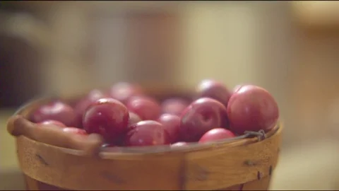 Hand picking up plum from bucket Video stock 76198696