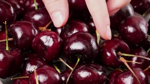 Hand picking ripe cherry from a pile of cherries Stock Footage 313857451