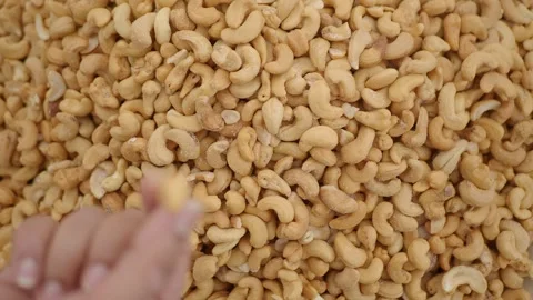 Hand Picking Roasted Cashew Nuts from a Large Pile Stock Footage 343908546