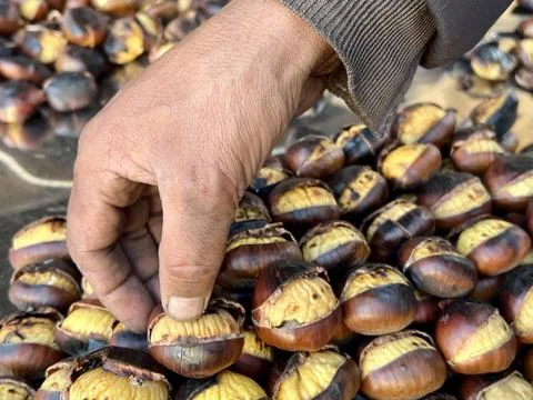 Hand picking roasted chestnuts Stock Photos