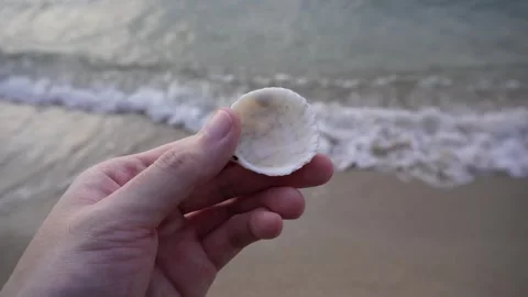 Hand picking sea shell on the beach Vídeo Stock 258739810