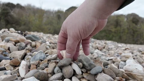Hand Picking Sea Shell on Rocky Beach Close Up Stock Footage 335434367