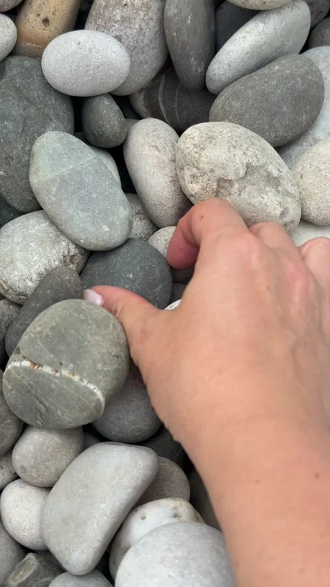 Hand Picking Smooth River Stones for DIY Fire Pit Stock Footage 342002209