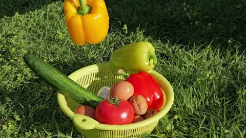 Hand picking yellow bell pepper from vegetable basket Stock Footage 337067048
