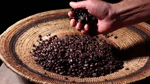 Hand picks up coffee beans Stock Footage 195917904