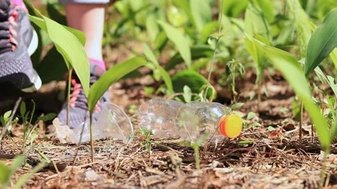 Hand picks up plastic cup and bottle from grass Video stock 199441085