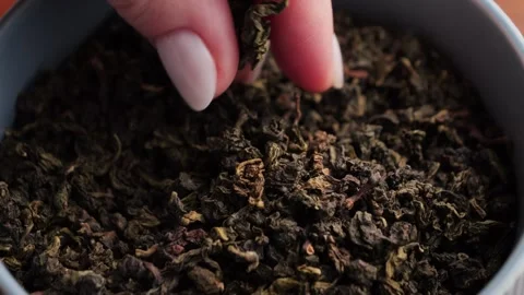 Hand picks tea leaves. Blue oolong dried tea leaf. Oolong tea health benefits Stock Footage 303349628