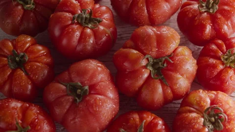 HAND PICKS TOMATO Stock Footage 132635624