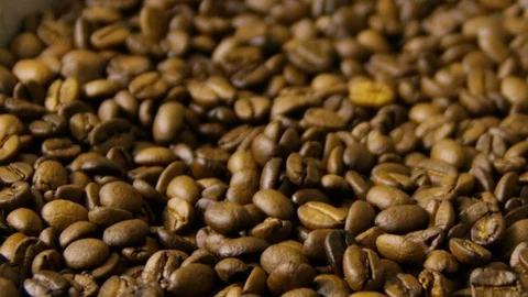 Hand picks up whole bean coffee in a container. Freshly roasted Stock Footage 114889829
