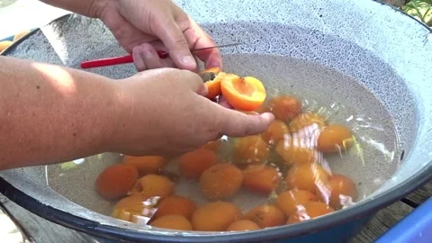 Hand pitting and halving fresh apricots in water for homemade jam Stock Footage 337998461