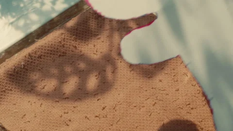 A Hand Placing a Bear Pattern Onto Fabric at Build-A-Bear Workshop - Close Up Stock Footage 296279944