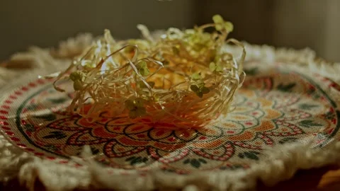 Hand placing decorative hexagonal candle in bird's nest with sprouts on embr Vidéo 346252560