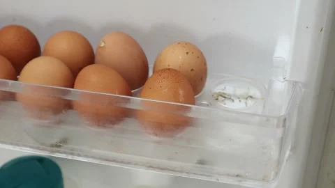 Hand placing fresh chicken eggs into refrigerator storage tray close up view Stock Footage 334167799