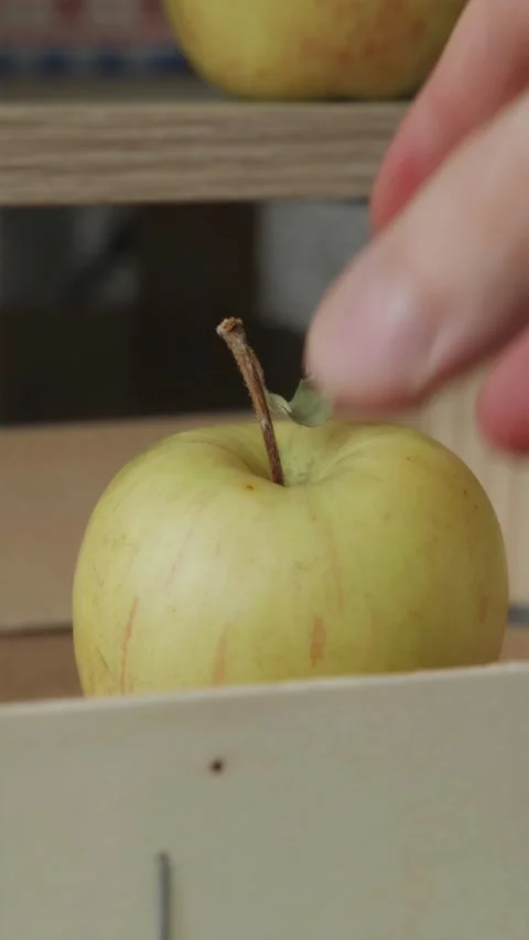 Hand placing fresh green apple with leaf into wooden harvest box Video stock 344877188