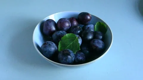 Hand Placing Fresh Plums into a Blue Ceramic Bowl on a blue Table Видео 342126621