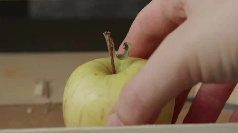 Hand placing fresh ripe green apple with green leaf into wooden harvest box Video stock 344877196
