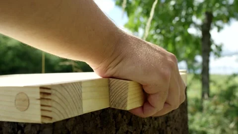 Hand Placing Freshly Sawn Timber Board on Tree Stump, Green Garden, Close Up Stock Footage 341295959