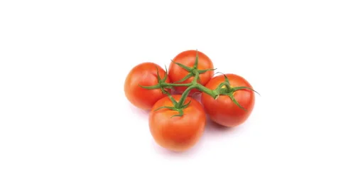 Hand placing red tomatoes on the vine on white kitchen table background Stock Footage 218271945