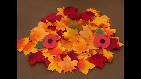Hand placing remembrance cross onto some autumn leaves Stock Footage 321709594
