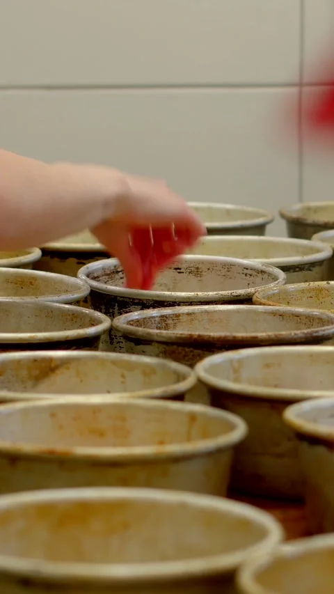 Hand placing small item into stained metal baking pans rows in bakery prep work Stock Footage 344573616