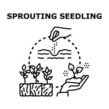 Hand planting seeds developing into growing seedlings Stock-Illustration
