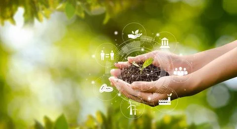 Hand planting trees with technology of renewable resources to reduce pollut.. Stock Photos