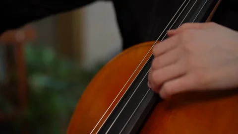 Hand playing cello strings in close up 库存影片 347813776