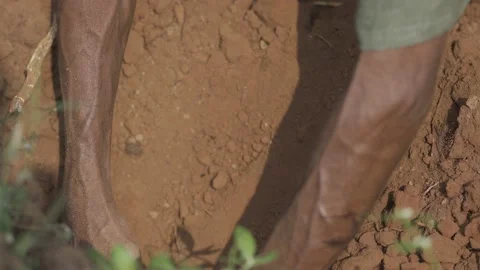 Hand Plow by farmer Video stock 177194036