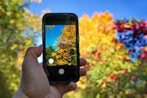 Hand pointing and taking cellphone pictures of fall foliage to send to social Stock Photos